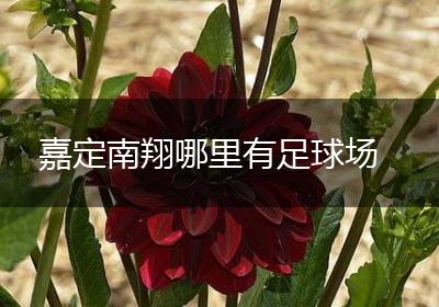 嘉定南翔哪里有足球场