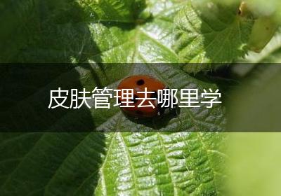 皮肤管理去哪里学
