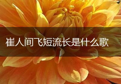崔人间飞短流长是什么歌