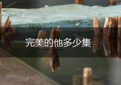 完美的他多少集