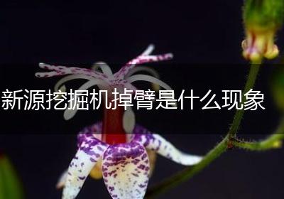 新源挖掘机掉臂是什么现象