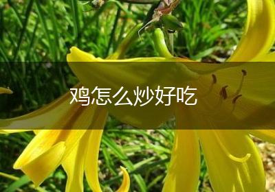 鸡怎么炒好吃