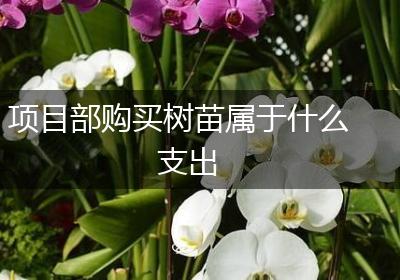 项目部购买树苗属于什么支出