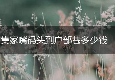 集家嘴码头到户部巷多少钱
