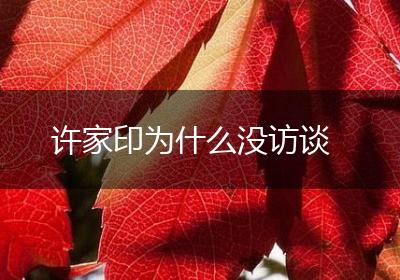 许家印为什么没访谈