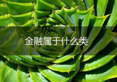 金融属于什么类
