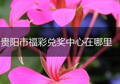 贵阳市福彩兑奖中心在哪里