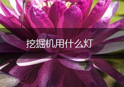 挖掘机用什么灯