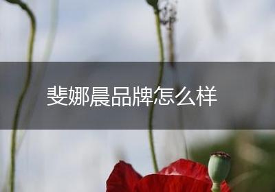 斐娜晨品牌怎么样