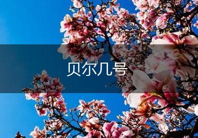 贝尔几号