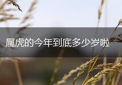 属虎的今年到底多少岁啦