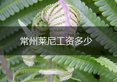 常州莱尼工资多少