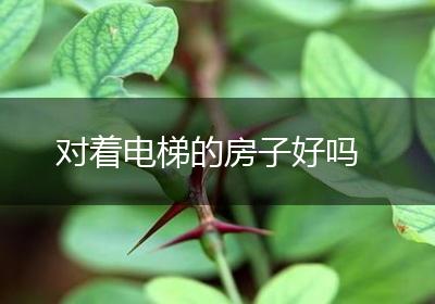 对着电梯的房子好吗