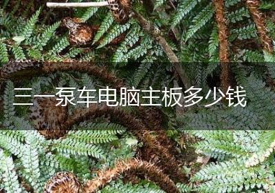 三一泵车电脑主板多少钱