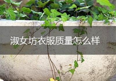 淑女坊衣服质量怎么样
