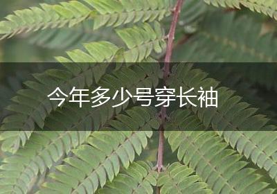 今年多少号穿长袖
