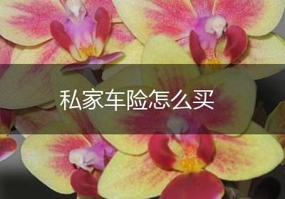 私家车险怎么买