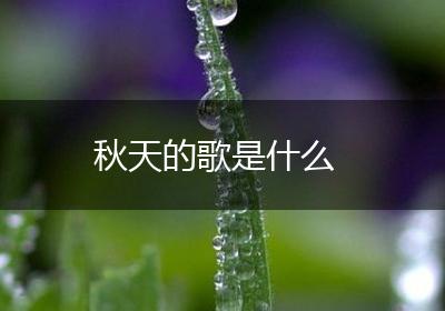 秋天的歌是什么