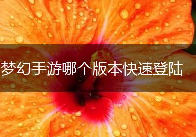 梦幻手游哪个版本快速登陆