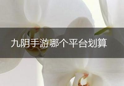 九阴手游哪个平台划算