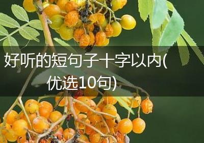 好听的短句子十字以内(优选10句)