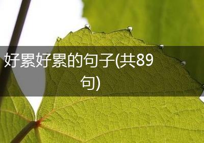 好累好累的句子(共89句)