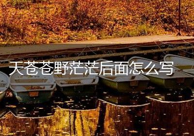 天苍苍野茫茫后面怎么写