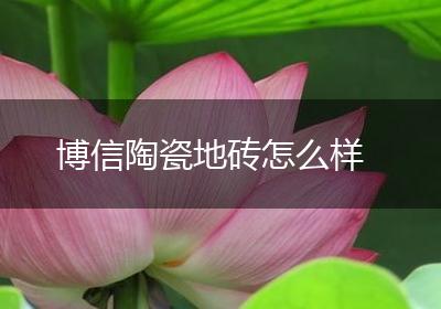 博信陶瓷地砖怎么样