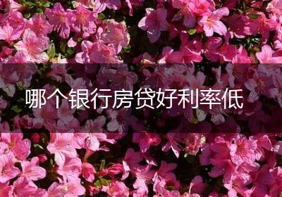 哪个银行房贷好利率低