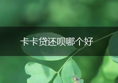 卡卡贷还呗哪个好