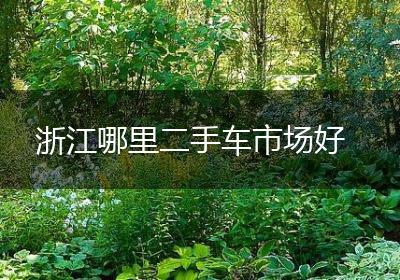浙江哪里二手车市场好