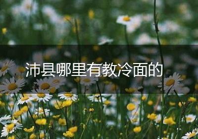 沛县哪里有教冷面的