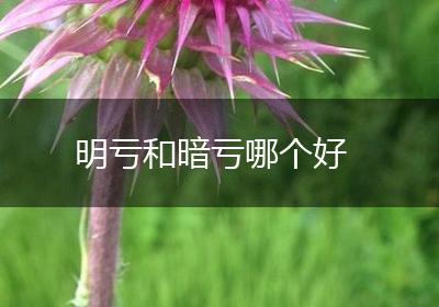 明亏和暗亏哪个好