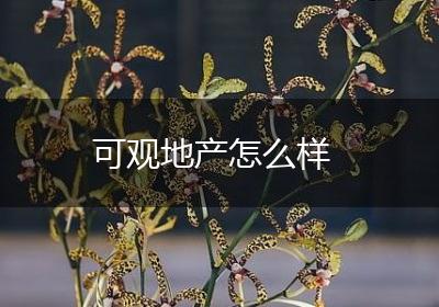 可观地产怎么样