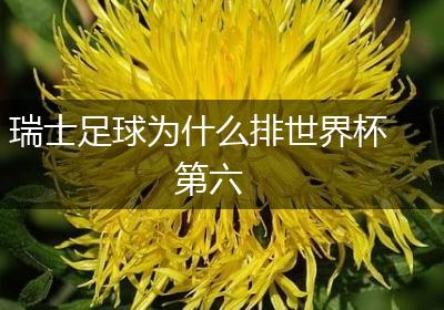瑞士足球为什么排世界杯第六