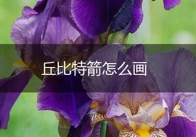 丘比特箭怎么画