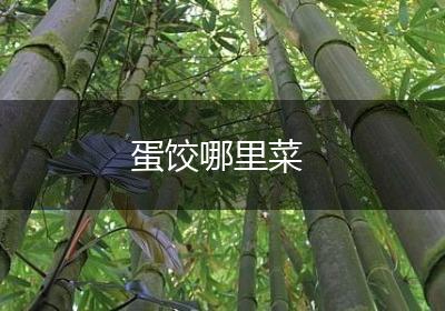 蛋饺哪里菜