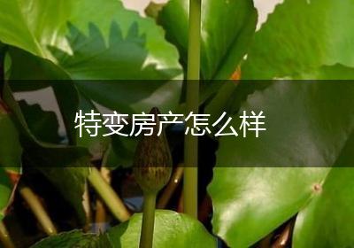 特变房产怎么样