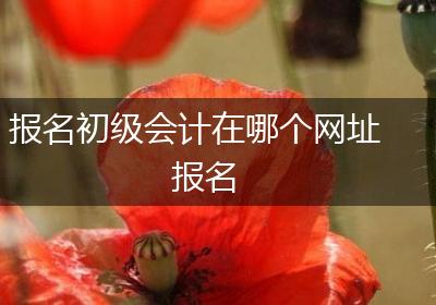 报名初级会计在哪个网址报名