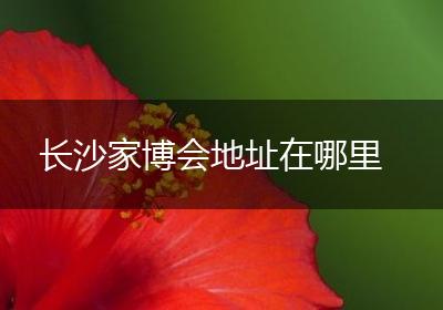 长沙家博会地址在哪里