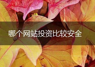 哪个网站投资比较安全