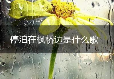 停泊在枫桥边是什么歌