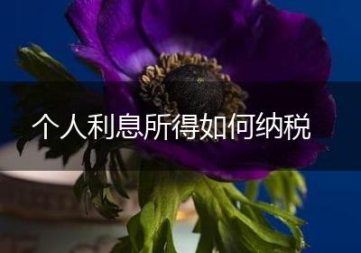 个人利息所得如何纳税
