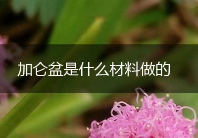 加仑盆是什么材料做的