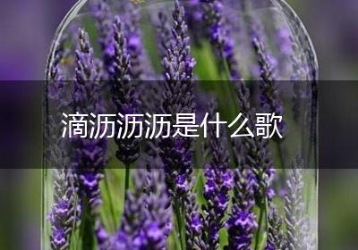 滴沥沥沥是什么歌