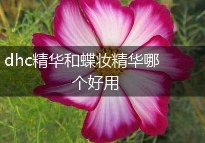 dhc精华和蝶妆精华哪个好用