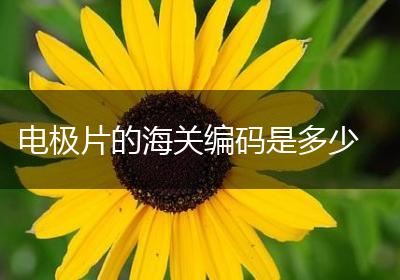 电极片的海关编码是多少