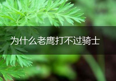 为什么老鹰打不过骑士