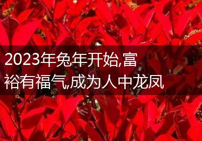2023年兔年开始,富裕有福气,成为人中龙凤的三个生肖!