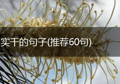 实干的句子(推荐60句)